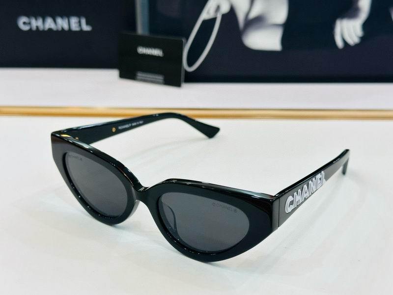 Chanel Sunglasses 2007